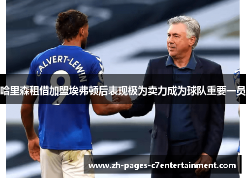 哈里森租借加盟埃弗顿后表现极为卖力成为球队重要一员